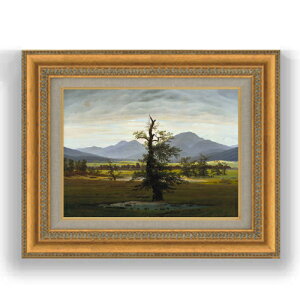 yG Mdグzt[hq Solitary Tree F4 yzz G ̔ 4  l 481×391mm   v[g Mtg JXj JƏj ސEj Vzj rO  _