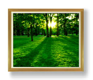 yG Mdグz F50TCY z yzz  i IWiCeAG  A[gG 50 傫ȊGTCY z   1323×1066mm