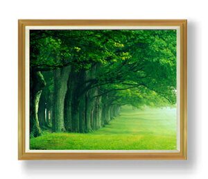 yG Mdグzthe green woods F50TCY z yzz  i IWiCeAG  A[gG 50 傫ȊGTCY z   1323×1066mm