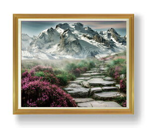 yG MdグzSteinweg-R̕i- F50TCY z yzz  i IWiCeAG  A[gG 50 傫ȊGTCY z   1323×1066mm