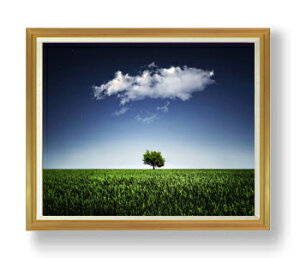 yG Mdグzi`[ANightsky F50TCY z yzz  i IWiCeAG  A[gG 50 傫ȊGTCY z   1323×1066mm