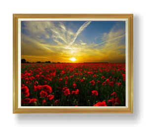 yG Mdグz[Al F50TCY z yzz  i IWiCeAG  A[gG 50 傫ȊGTCY z   1323×1066mm