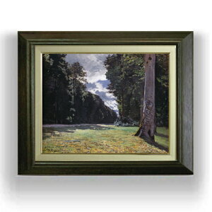 yG MdグzN[hEl tHe[ku[̐X̃VCC̕ܓ F6 yzz G ̔ 6  i 556×465mm   v[g Mtg JXj JƏj ސE