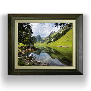 yG MdグzAvX̒ F6TCY z yLoXEAN/zz  i IWiCeAG  556×465mm   v[g Mtg JXj 