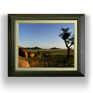 yG MdグzJg[[h F6TCY z yLoXEAN/zz  i IWiCeAG  556×465mm   v[g Mtg JXj