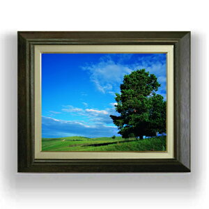 yG MdグzƖ؂Ɖ_ F6TCY z yLoXEAN/zz  i IWiCeAG  556×465mm   v[g Mtg JXj J