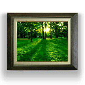 yG Mdグz F6TCY z yLoXEAN/zz  i IWiCeAG  556×465mm   v[g Mtg JXj JƏj 