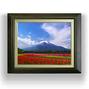 yG MdグztAxmR F6TCY z yLoXEAN/zz  i IWiCeAG  556×465mm   v[g Mtg JXj J