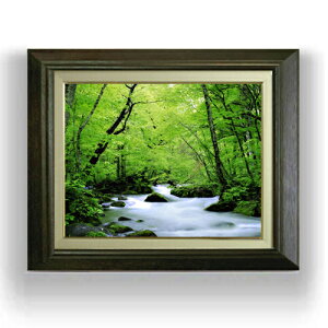 yG MdグzV΂̂炬 F6TCY z yLoXEAN/zz  i IWiCeAG  556×465mm   v[g Mtg JXj 