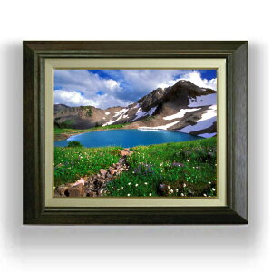 yG Mdグzt-- F6TCY z yLoXEAN/zz  i IWiCeAG  556×465mm   v[g Mtg JXj J