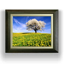 楽天市場】桜（絵画｜アート・美術品・骨董品・民芸品）：ホビーの通販