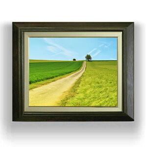 yG MdグzO[tB[h F6TCY z yLoXEAN/zz  i IWiCeAG  556×465mm  