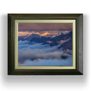 yG MdグzR[JTXA VA̕i F6TCY z yLoXEAN/zz  i IWiCeAG  556×465mm  