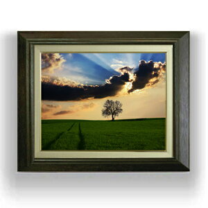 yG MdグzqOh̋u F6TCY z yLoXEAN/zz  i IWiCeAG  556×465mm   v[g Mtg JXj