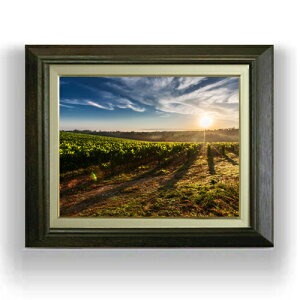 yG MdグzuhE F6TCY z yLoXEAN/zz  i IWiCeAG  556×465mm   v[g Mtg JXj JƏj