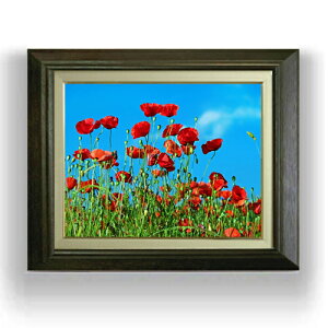 yG Mdグz|s[tB[h F6TCY z yLoXEAN/zz  i IWiCeAG  556×465mm   v[g Mtg JXj