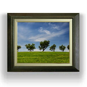 yG MdグzVC[̖؁X F6TCY z yLoXEAN/zz  i IWiCeAG  556×465mm  