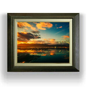 yG MdグzR[̓v -̔- F6TCY z yLoXEAN/zz  i IWiCeAG  556×465mm  