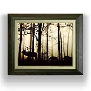 yG MdグzXсÃVGbg F6TCY z yLoXEAN/zz  i IWiCeAG  556×465mm  