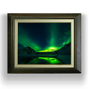 yG Mdグzkɂ̃I[Am[UCc F6TCY z yLoXEAN/zz  i IWiCeAG  556×465mm  