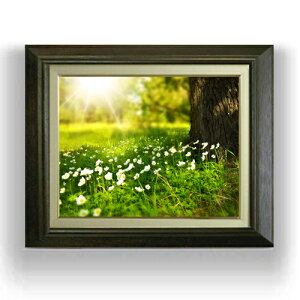 yG MdグzqnAؘR F6TCY z yLoXEAN/zz  i IWiCeAG  556×465mm   v[g Mtg JXj