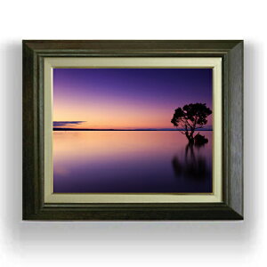 yG MdグzJĎ F6TCY z yLoXEAN/zz  i IWiCeAG  556×465mm   v[g Mtg JXj JƏj