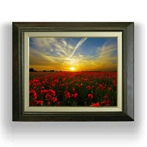 yG Mdグz[Al F6TCY z yLoXEAN/zz  i IWiCeAG  556×465mm   v[g Mtg JXj J