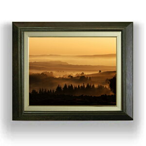 yG Mdグz[AubNg F6TCY z yLoXEAN/zz  i IWiCeAG  556×465mm  