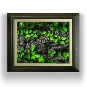 yG Mdグz΂̑ F6TCY z yLoXEAN/zz  i IWiCeAG  556×465mm   v[g Mtg JXj J