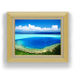 yG Mdグzu[I[V F6TCY z yLoXEAN/zz  i IWiCeAG  556×465mm   v[g Mtg JXj