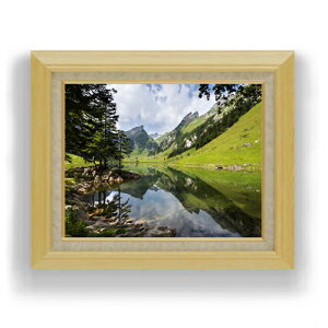 yG MdグzAvX̒ F6TCY z yLoXEAN/zz  i IWiCeAG  556×465mm   v[g Mtg JXj 