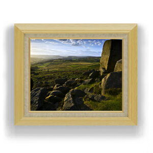 yG Mdグz̐Ή F6TCY z yLoXEAN/zz  i IWiCeAG  556×465mm   v[g Mtg JXj J