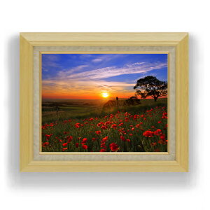 yG Mdグz[ẲԔ F6TCY z yLoXEAN/zz  i IWiCeAG  556×465mm   v[g Mtg JXj J