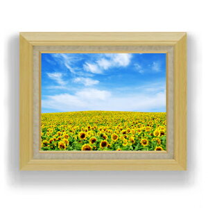 yG MdグzЂ܂蔨 F6TCY z yLoXEAN/zz  i IWiCeAG  556×465mm   v[g Mtg JXj J