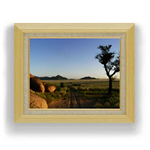 yG MdグzJg[[h F6TCY z yLoXEAN/zz  i IWiCeAG  556×465mm   v[g Mtg JXj