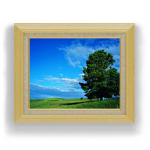 yG MdグzƖ؂Ɖ_ F6TCY z yLoXEAN/zz  i IWiCeAG  556×465mm   v[g Mtg JXj J