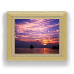 yG MdグzR[gIbg̕i F6TCY z yLoXEAN/zz  i IWiCeAG  556×465mm  