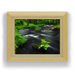 yG Mdグz-炬- F6TCY z yLoXEAN/zz  i IWiCeAG  556×465mm   v[g Mtg JXj J