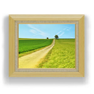 yG MdグzO[tB[h F6TCY z yLoXEAN/zz  i IWiCeAG  556×465mm  