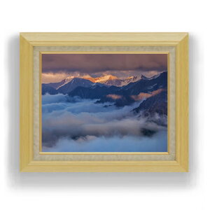 yG MdグzR[JTXA VA̕i F6TCY z yLoXEAN/zz  i IWiCeAG  556×465mm  