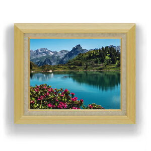 yG MdグzeBgXAŘΔ F6TCY z yLoXEAN/zz  i IWiCeAG  556×465mm  