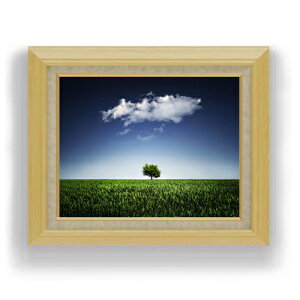 yG Mdグzi`[ANightsky F6TCY z yLoXEAN/zz  i IWiCeAG  556×465mm  