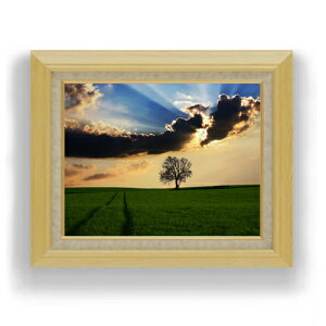 yG MdグzqOh̋u F6TCY z yLoXEAN/zz  i IWiCeAG  556×465mm   v[g Mtg JXj