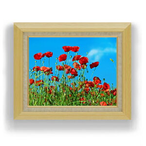 yG Mdグz|s[tB[h F6TCY z yLoXEAN/zz  i IWiCeAG  556×465mm   v[g Mtg JXj