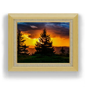 yG Mdグz~fuO̕i F6TCY z yLoXEAN/zz  i IWiCeAG  556×465mm  