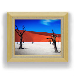 yG Mdグzr F6TCY z yLoXEAN/zz  i IWiCeAG  556×465mm   v[g Mtg JXj JƏj 