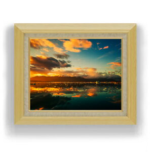 yG MdグzR[̓v -̔- F6TCY z yLoXEAN/zz  i IWiCeAG  556×465mm  