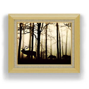 yG MdグzXсÃVGbg F6TCY z yLoXEAN/zz  i IWiCeAG  556×465mm  