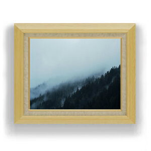 G G Mdl jt mg[ F6TCY z yLoXEAN/zz  i IWiCeAG  556×465mm   v[g Mtg JX