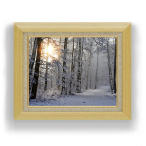 yG Mdグz~AؘR F6TCY z yLoXEAN/zz  i IWiCeAG  556×465mm   v[g Mtg JXj J